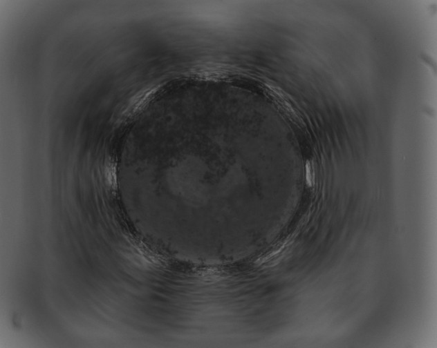 X0000091931155200710031053