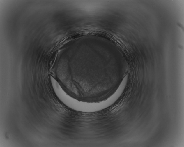 X0000091931156200710031053