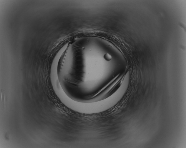 X0000091931157200710031053