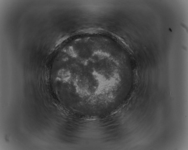 X0000091931158200710031053