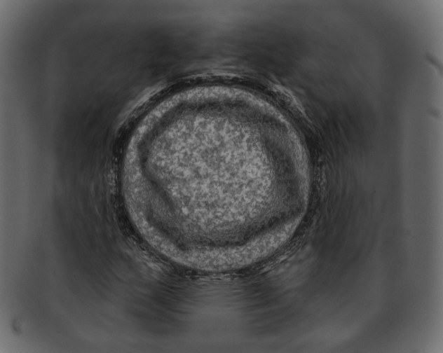 X0000091931159200710031053