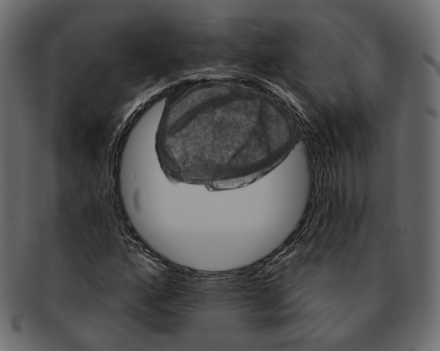 X0000091931160200710031053