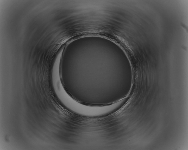 X0000091931161200710031053