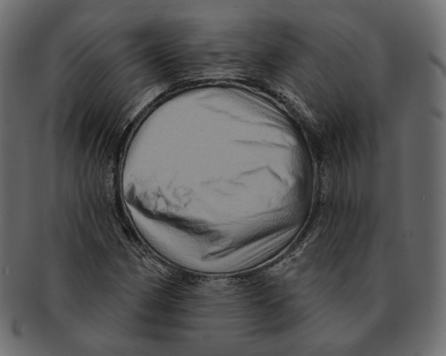 X0000091931162200710031053