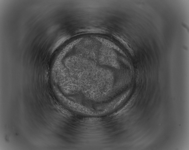 X0000091931163200710031053