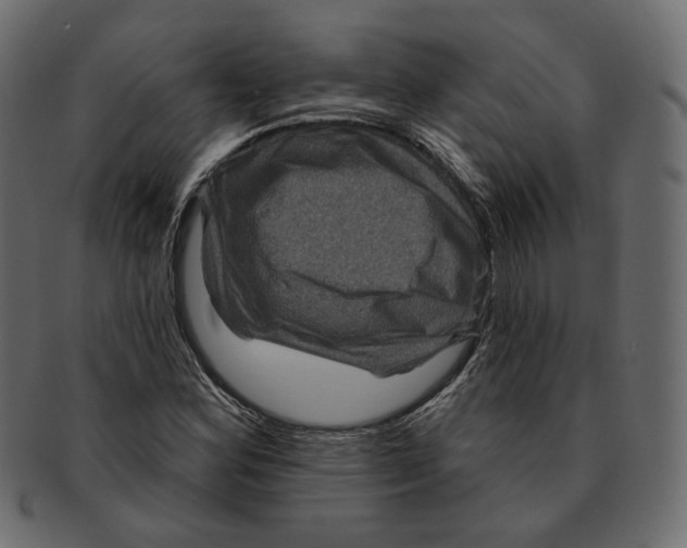 X0000091931164200710031053