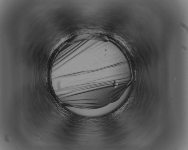 X0000091931165200710031053