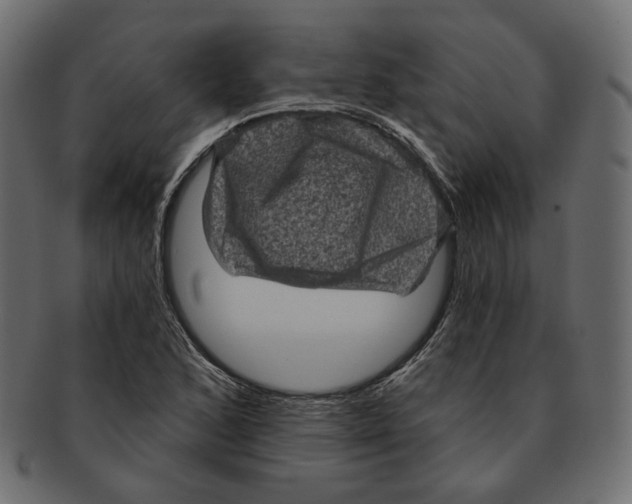 X0000091931168200710031053