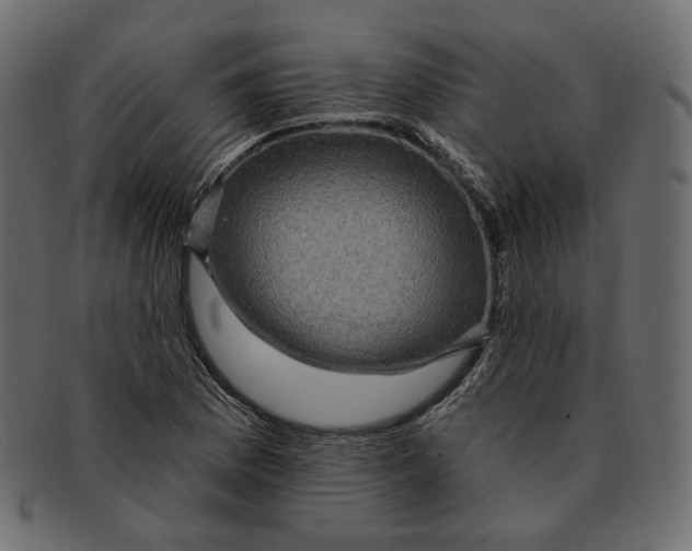 X0000091931169200710031053