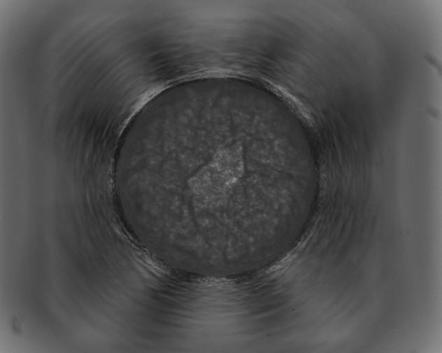 X0000091931170200710031053