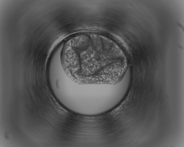 X0000091931172200710031053