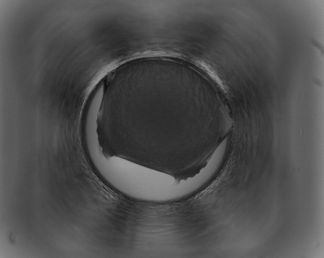 X0000091931173200710031053