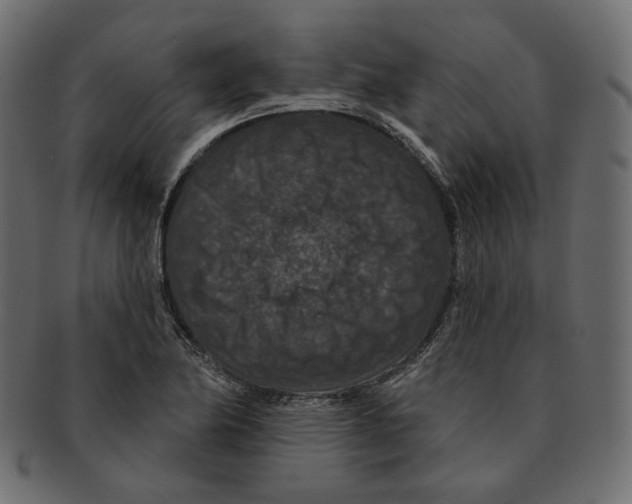 X0000091931174200710031053