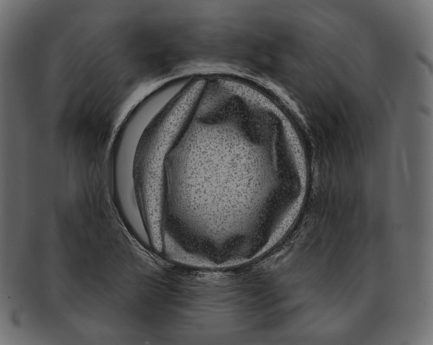 X0000091931175200710031053