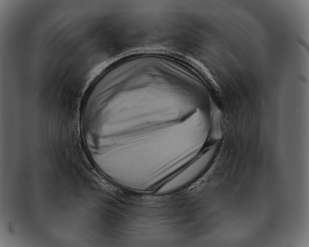 X0000091931176200710031053