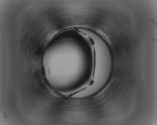 X0000091931177200710031053