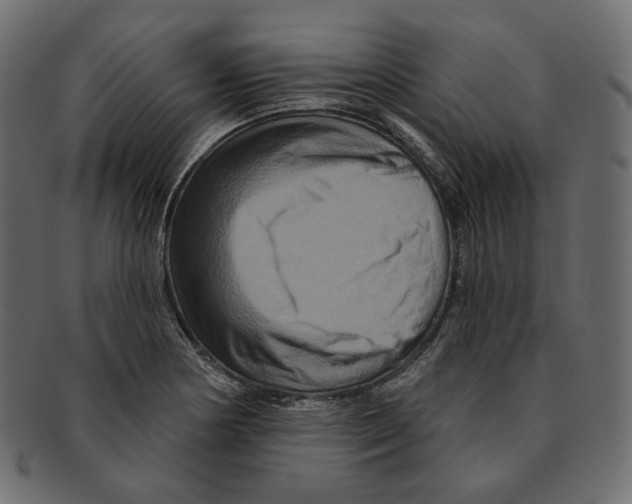 X0000091931178200710031053