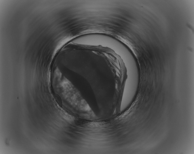 X0000091931179200710031053