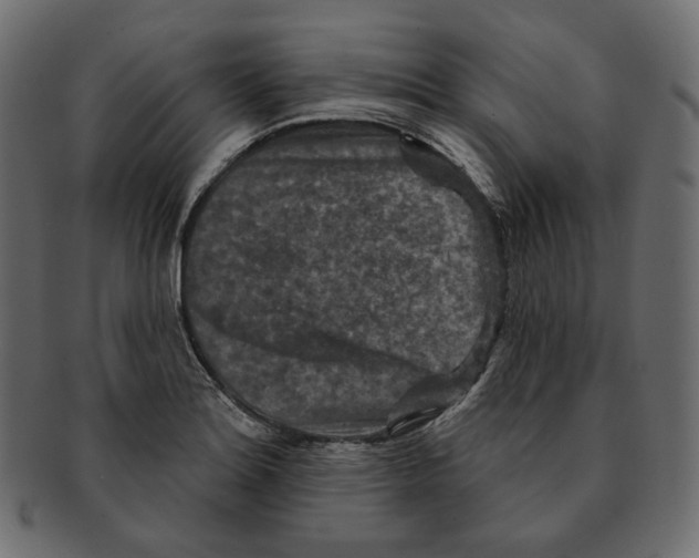 X0000091931180200710031053