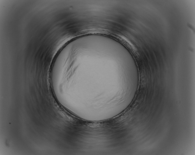 X0000091931182200710031053