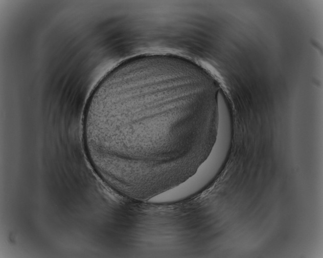 X0000091931183200710031053