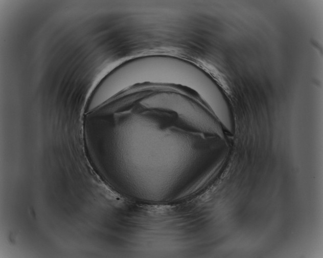 X0000091931184200710031053