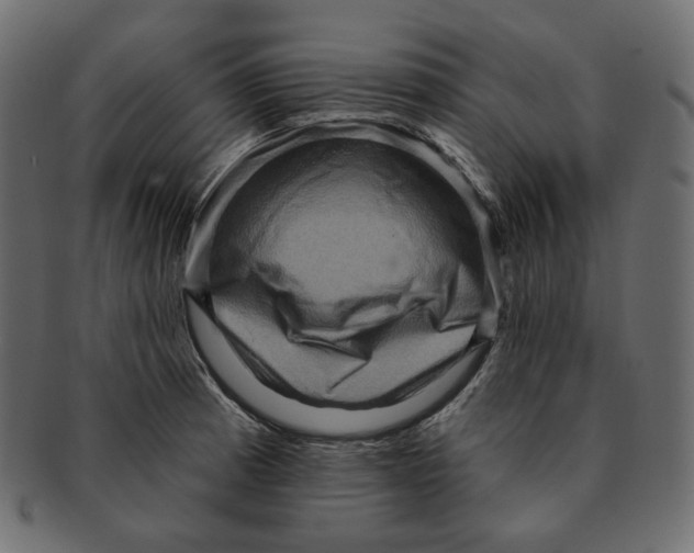 X0000091931185200710031053