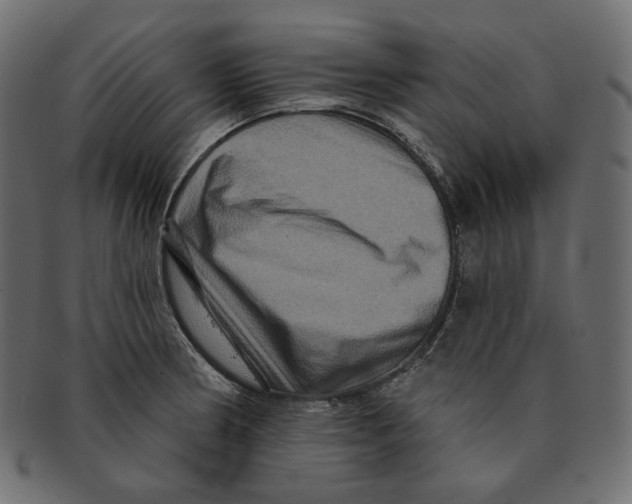 X0000091931186200710031053