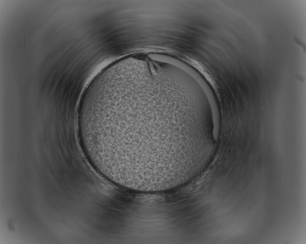 X0000091931187200710031053