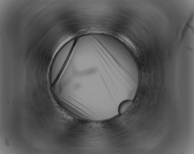 X0000091931190200710031053