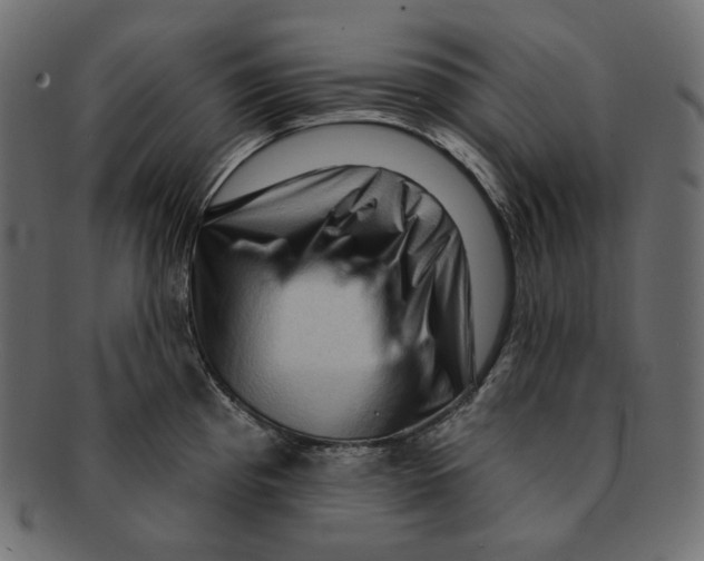 X0000091931193200710031053