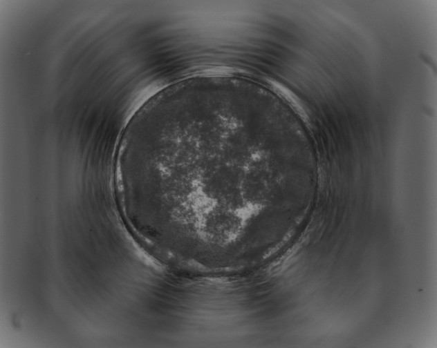 X0000091931194200710031053