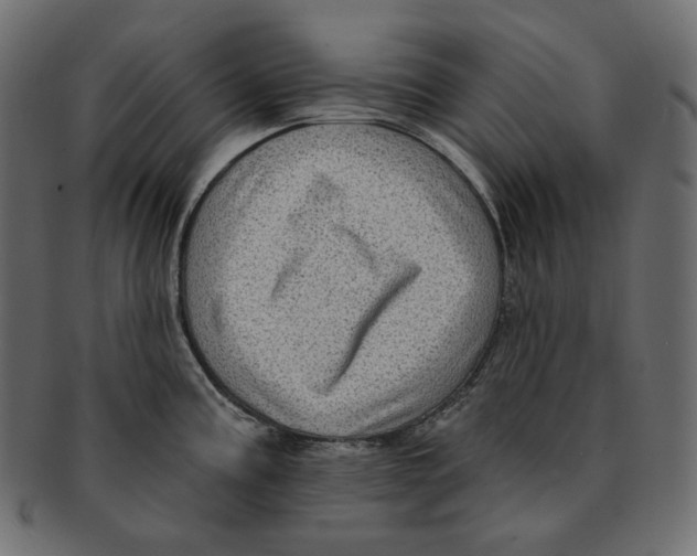 X0000091931195200710031053