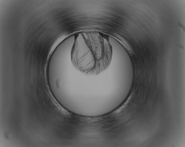 X0000091931196200710031053