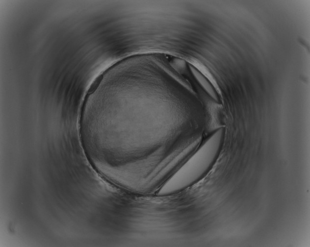 X0000091931197200710031053