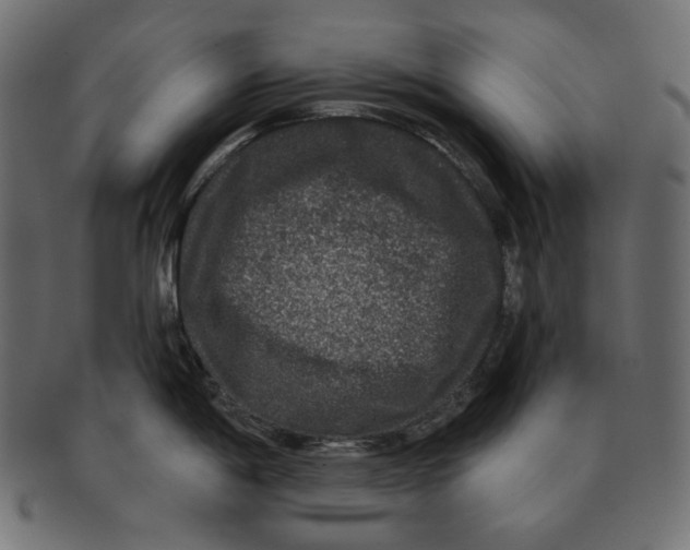 X0000091931198200710031053