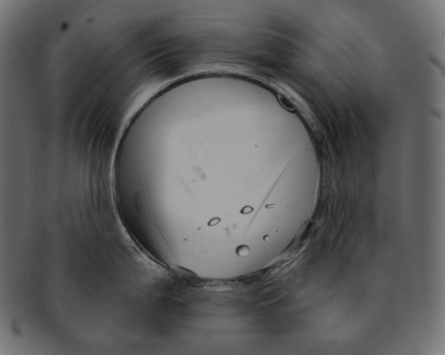 X0000091931199200710031053