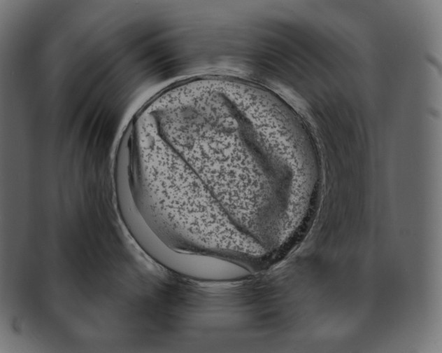 X0000091931200200710031053