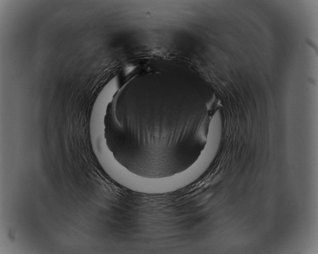 X0000091931202200710031052