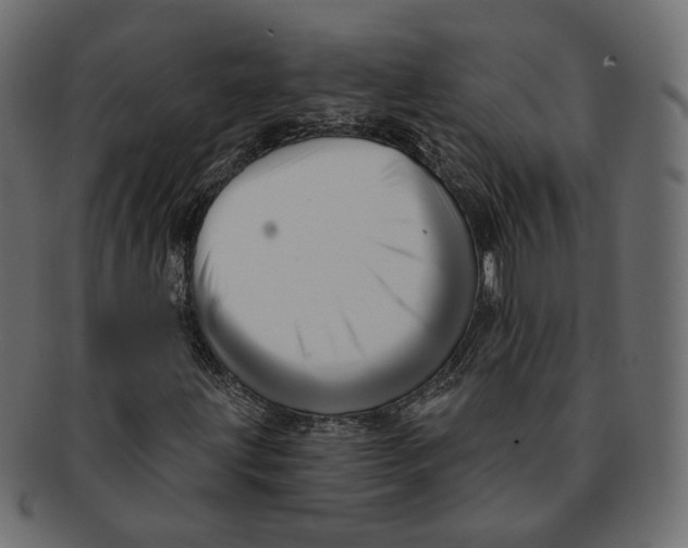 X0000091931203200710031052