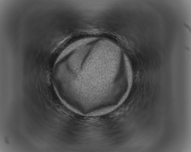 X0000091931205200710031052