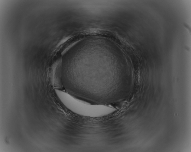 X0000091931206200710031052