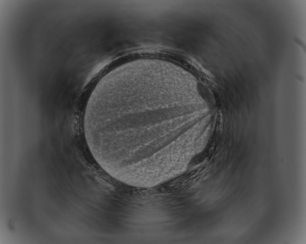 X0000091931208200710031052