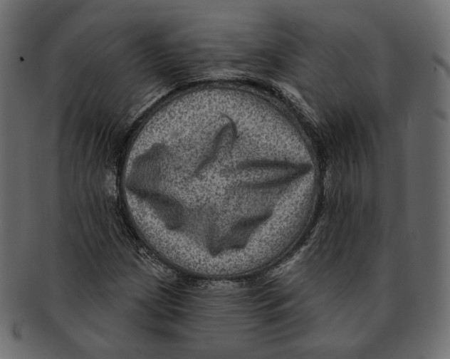 X0000091931209200710031052