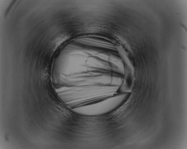 X0000091931210200710031052