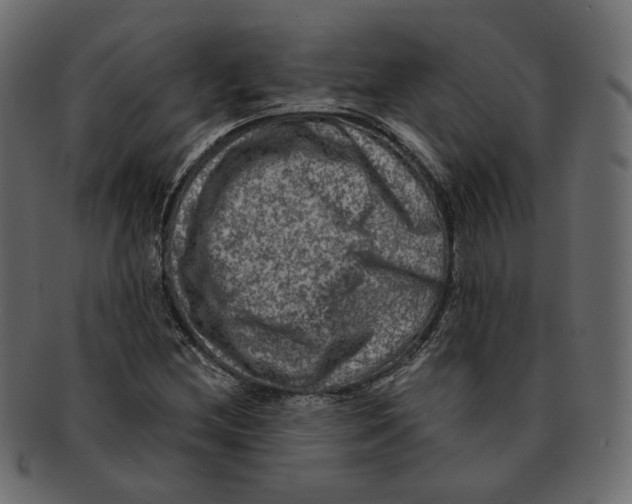 X0000091931212200710031052