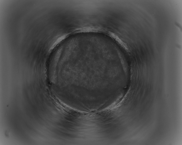 X0000091931213200710031052