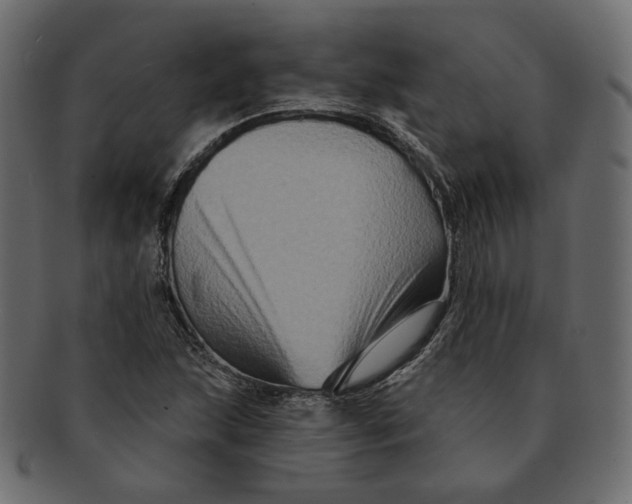 X0000091931215200710031052