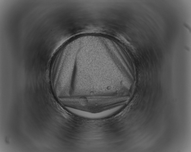 X0000091931216200710031052