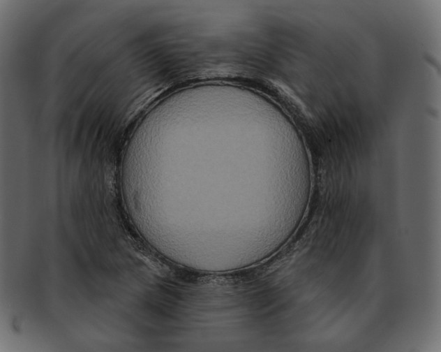 X0000091931217200710031052